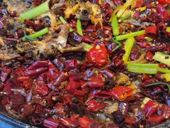 -老板恋上鱼(恒隆广场店)