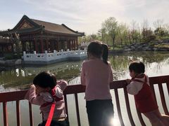 -武清南湖绿博园