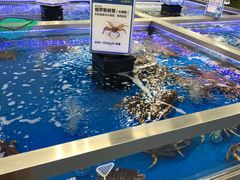 -盒马X会员店(上海森兰商都店)
