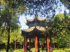 -洛阳白马寺
