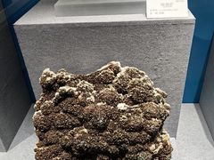 -贵州省地质博物馆