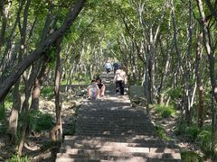 -紫金山山顶公园