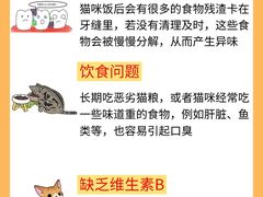 -李小姐の猫咖啡馆(五角场店)