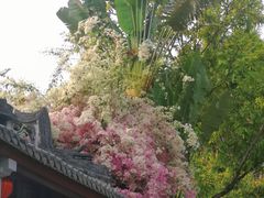 -深圳国际园林花卉博览园