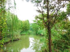 -梁鸿国家湿地公园