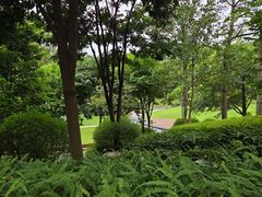 -云溪植物园