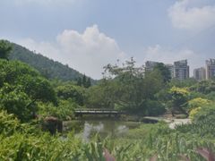 -南沙蒲洲花园