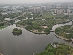 -嘉定凯悦·咖啡厅