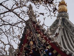 -西安市广仁寺