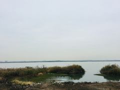 -七的湖·晚芳亭·阳澄湖农家菜·大闸蟹(莲花岛店)