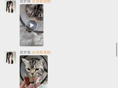 -奈斯宠物医院·核磁CT·异宠专科·内镜(中南店)