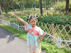 -黑龙江省森林植物园