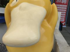 -聆桂烤鸭·金奖烤鸭(静联广场店)