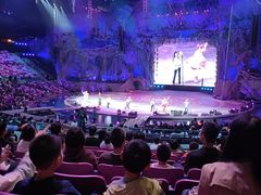 -广州长隆国际大马戏