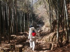 -莫干山风景区