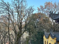 -九华山风景区月身宝殿