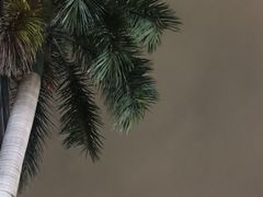 -南宁东站