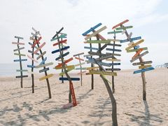 -玫瑰海岸文化旅游度假区