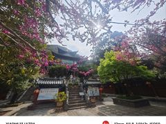 -黑龙潭公园