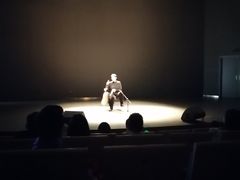 -北京大学百年讲堂