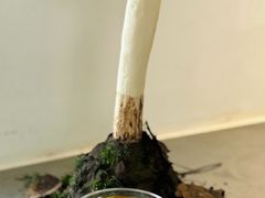 -收获咖啡HARVEST RESERVE(苍山店)