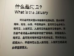 -上海长江河口科技馆