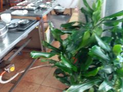 -隆都四季香饭店(碧海路店)