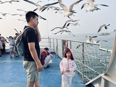 -海驴岛(荣成市)