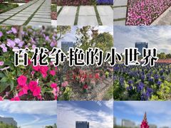 -春花秋色城市公园
