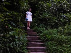 -火炉山森林公园