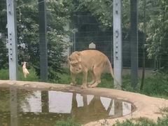 -西安秦岭野生动物园