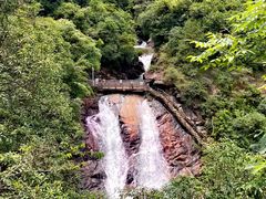 -广州白江湖森林公园