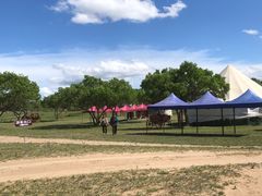 -塞罕坝国家级自然保护区