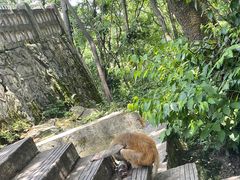 -黔灵山公园