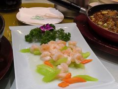 -兴芮温泉度假区