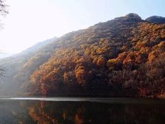 -龙道沟景区
