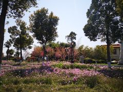 -仙岳公园