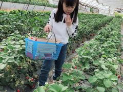 -小鱼草莓采摘园农家乐·小鱼餐厅