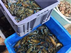 -星记小馆·小蓝龙·老南京砂锅菜(上海路店)
