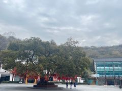 -句容茅山景区