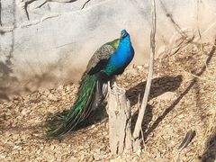 -鄂尔多斯野生动物园