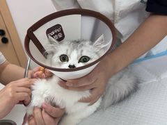 -邢大夫动物医院