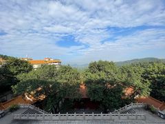 -深圳仙湖植物园