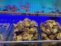 -渔家风味·鲅鱼水饺·央视展播·海鲜天津菜(开发区店)