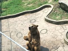-无锡动物园·太湖欢乐园