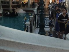 -澳门威尼斯人综合度假区