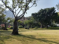 -白鹭洲公园