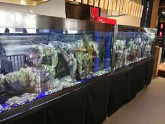 -石葵(锦业时代店)