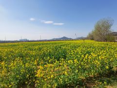 -西海岸生态观光园