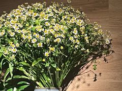 -春暖花开(西溪店)